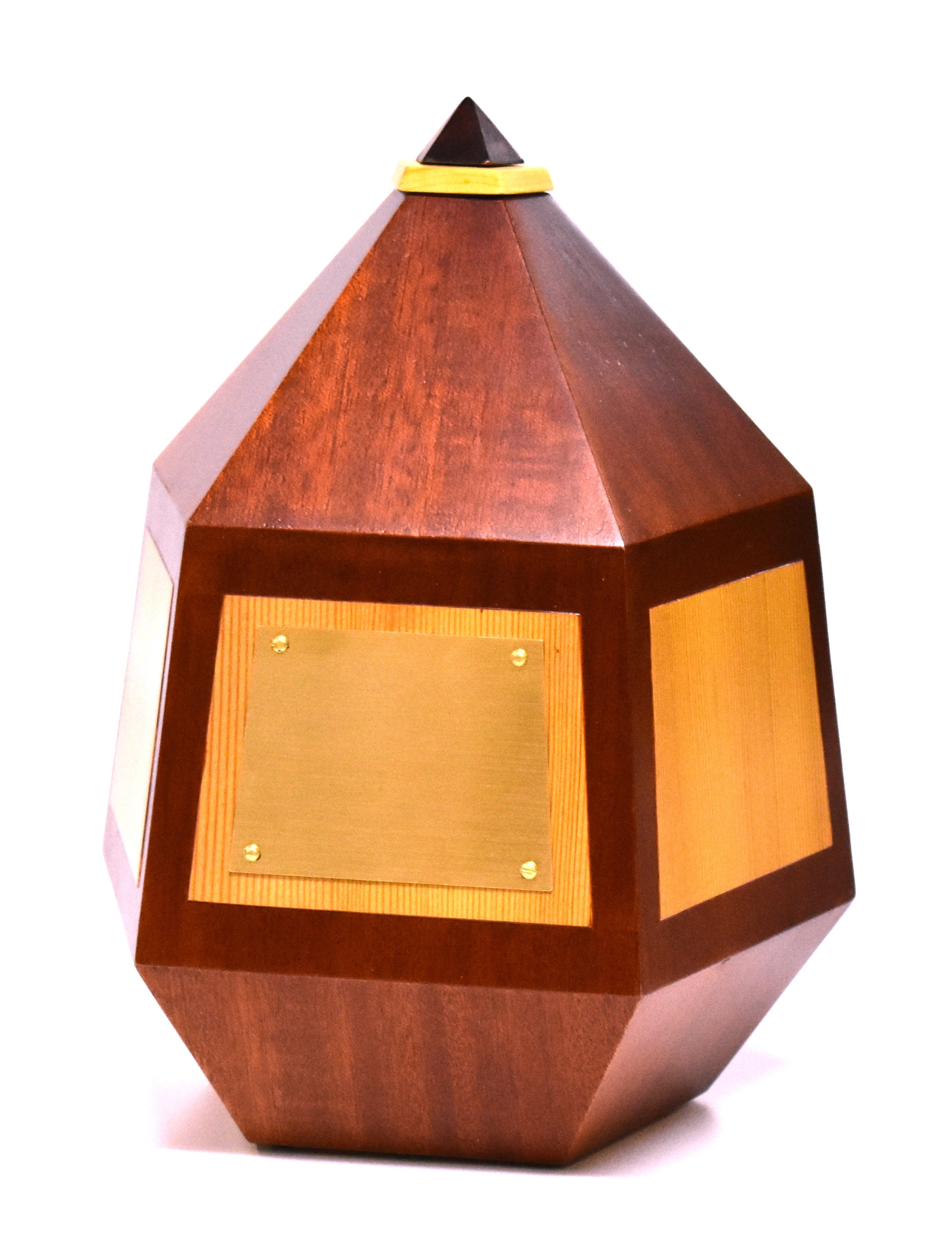 Traditional Geo: Boardroom Mahogany with Douglas Fir panels